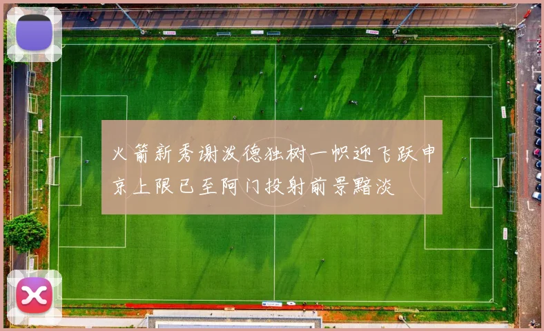 火箭新秀谢泼德独树一帜迎飞跃申京上限已至阿门投射前景黯淡
